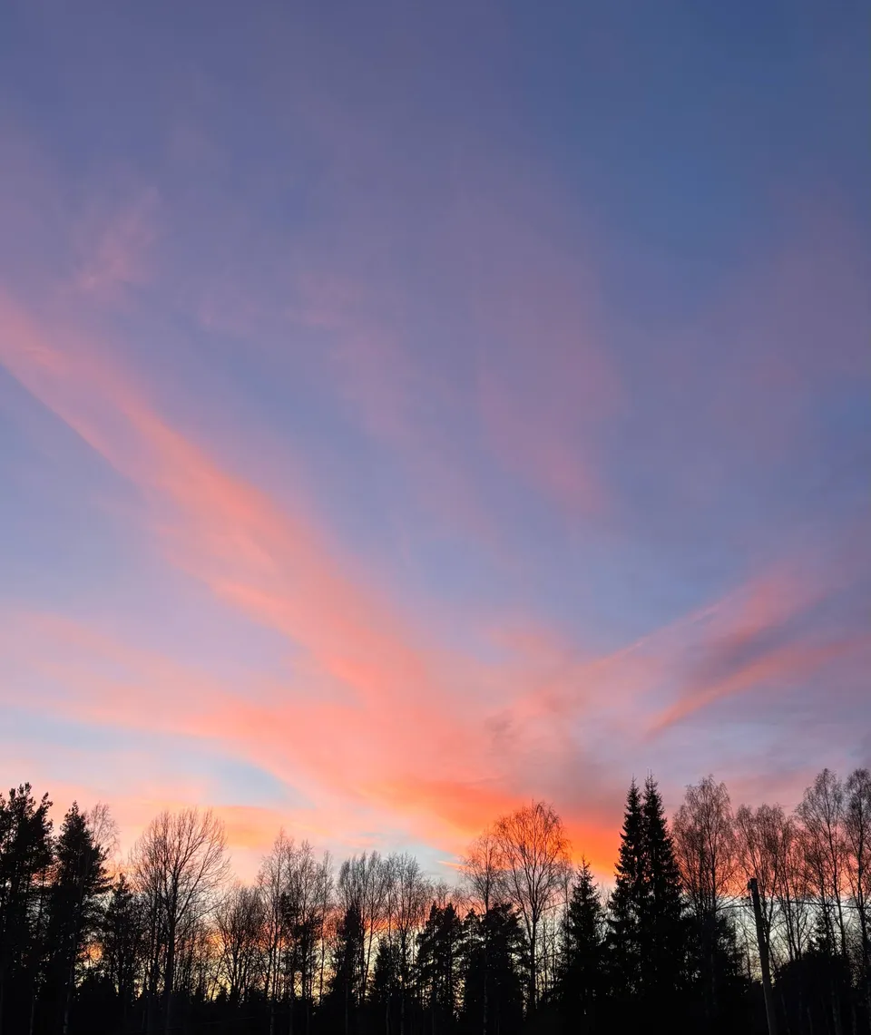 Phone Roll 10
