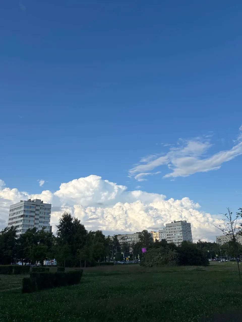 Phone Roll 1