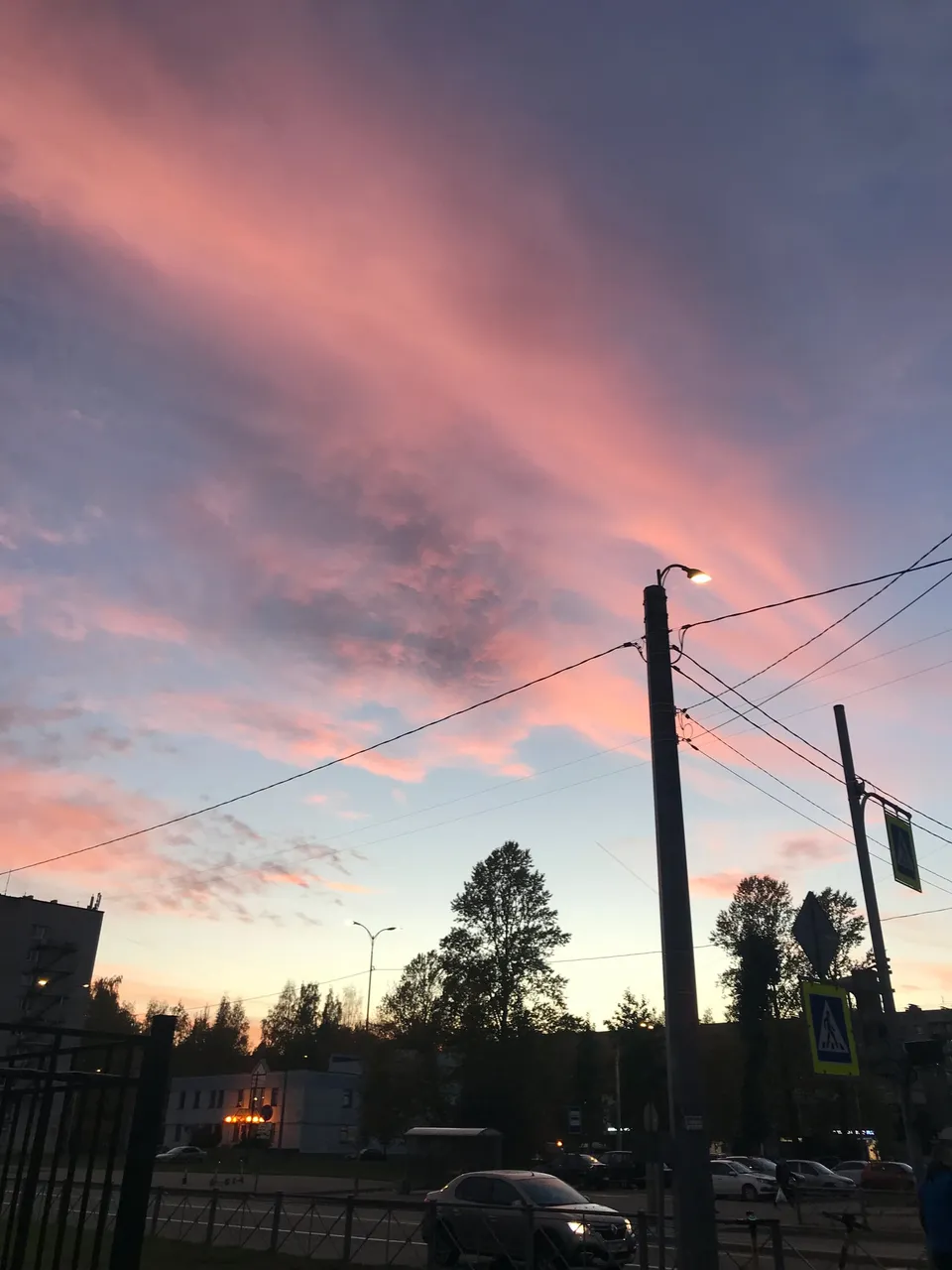 Phone Roll 44