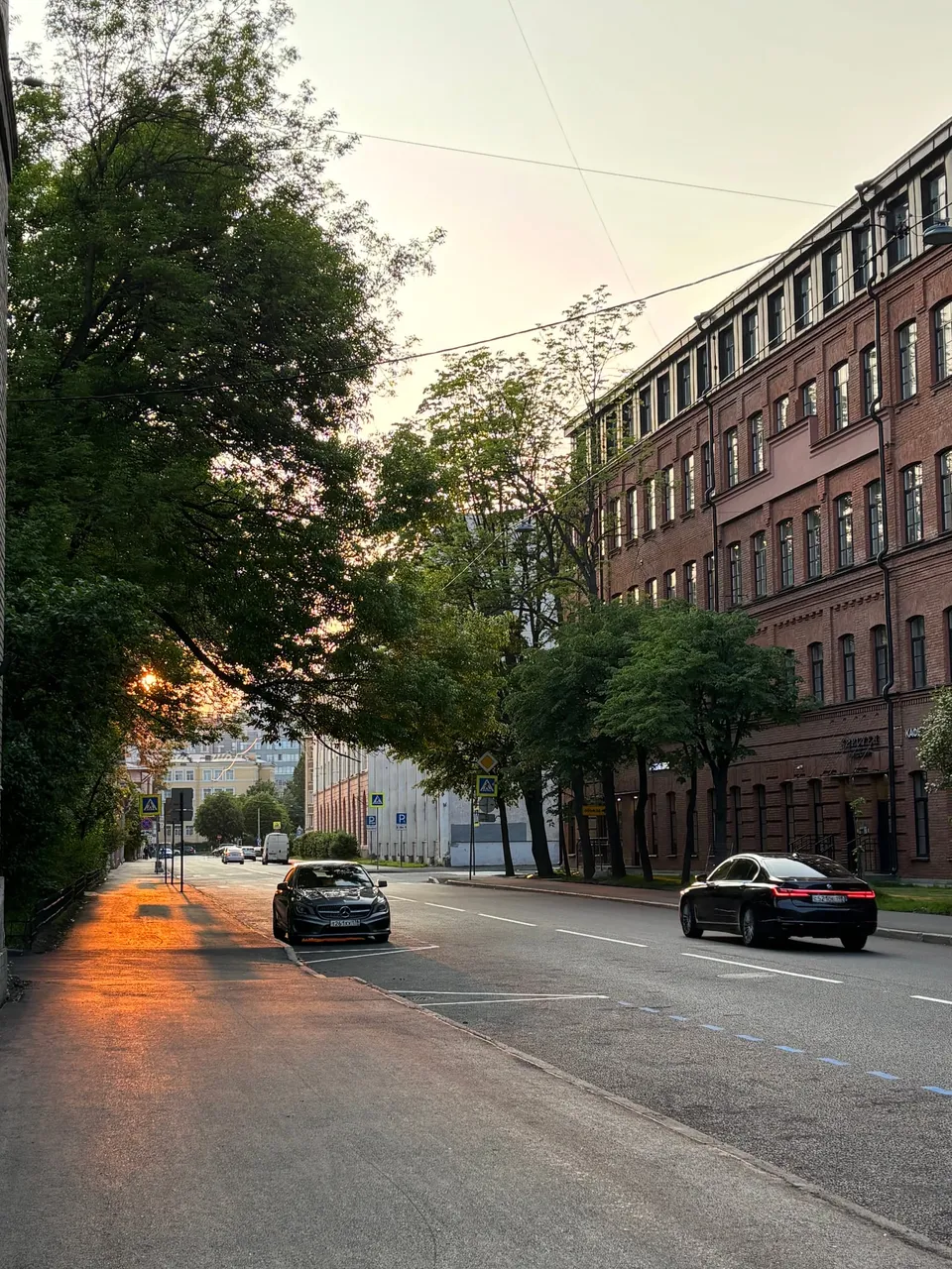 Phone Roll 32