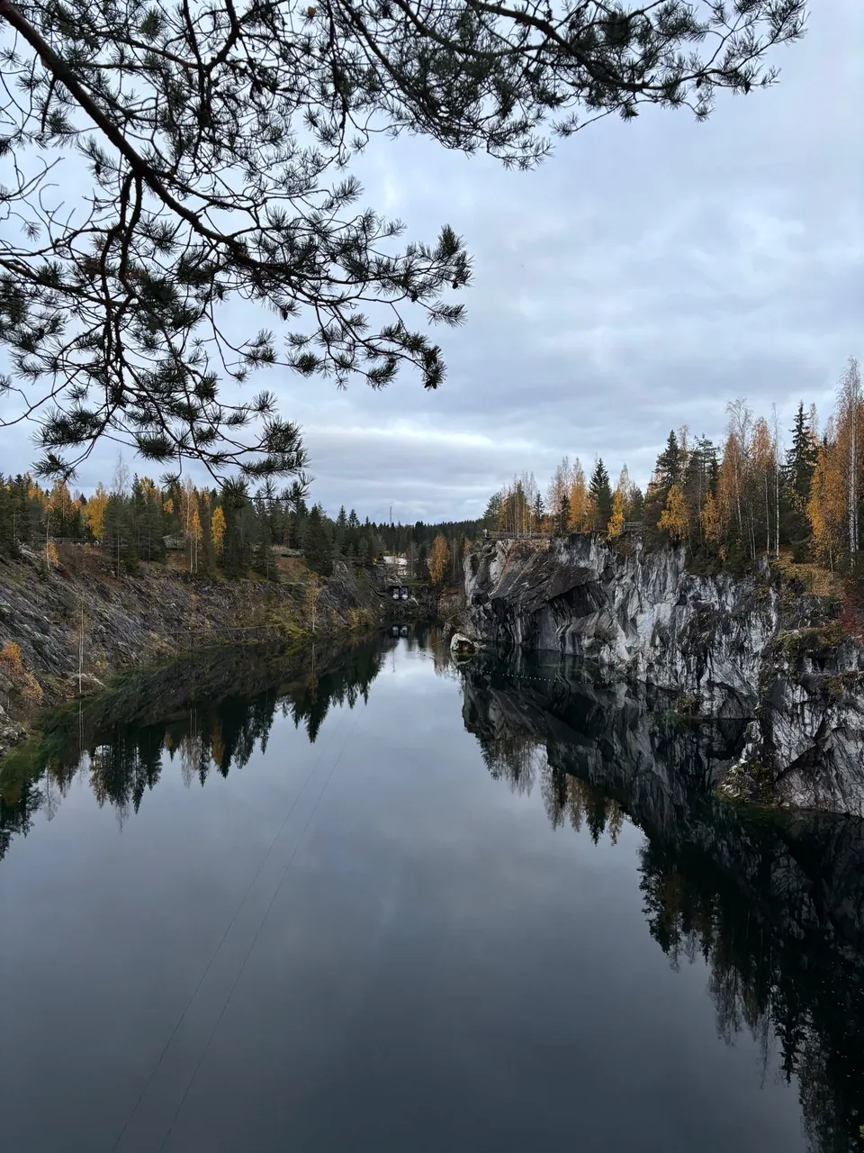 Phone Roll 16