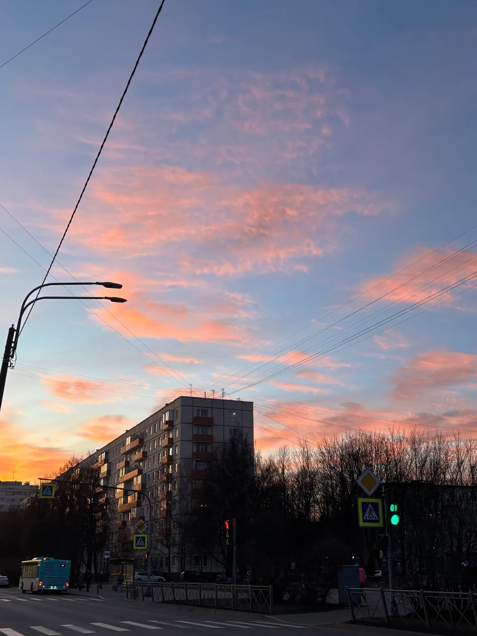 Phone Roll 47